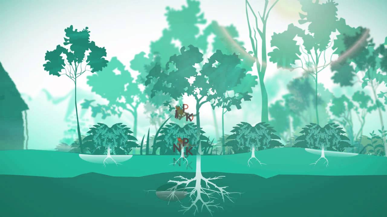Agroforestry explained by a mom & kid