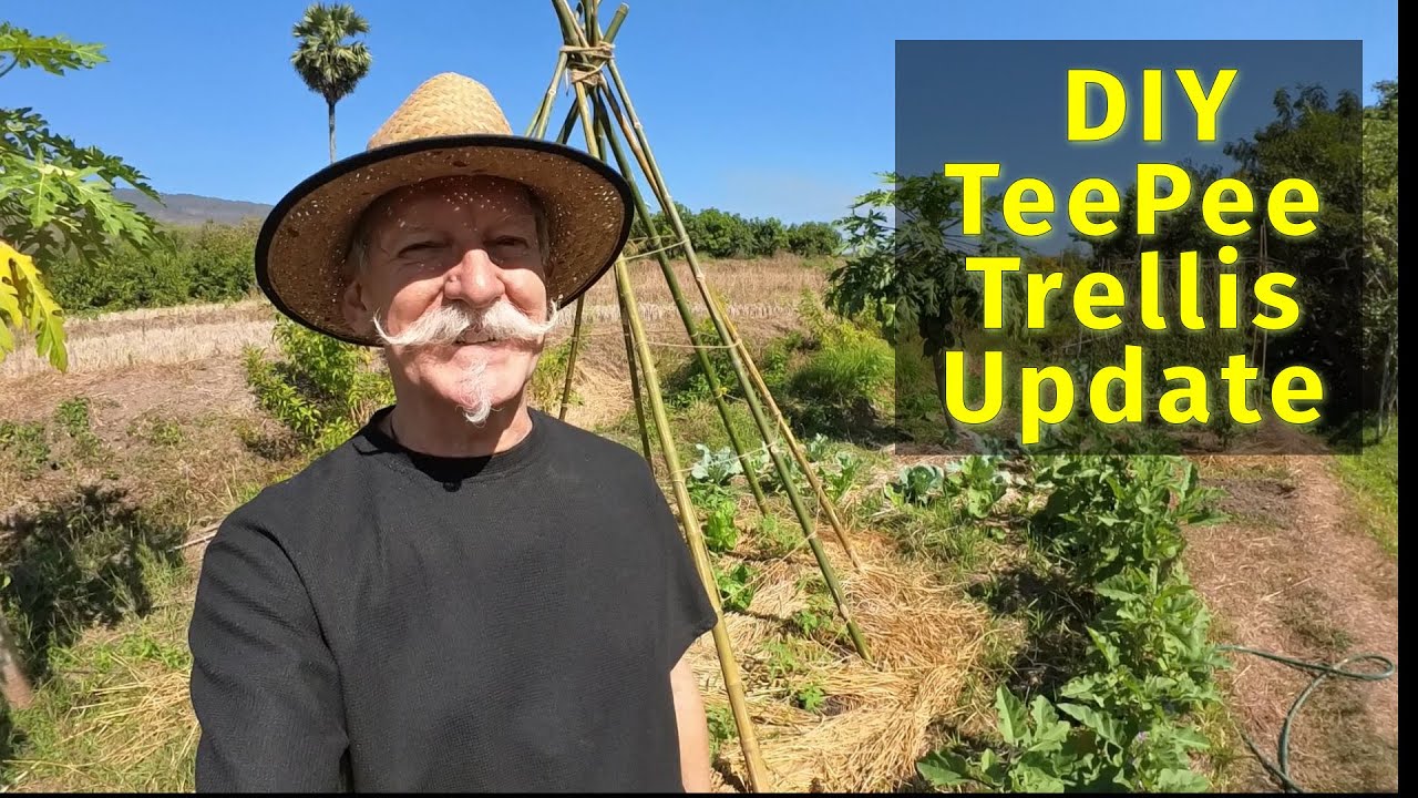Tomato Teepee Tweaks