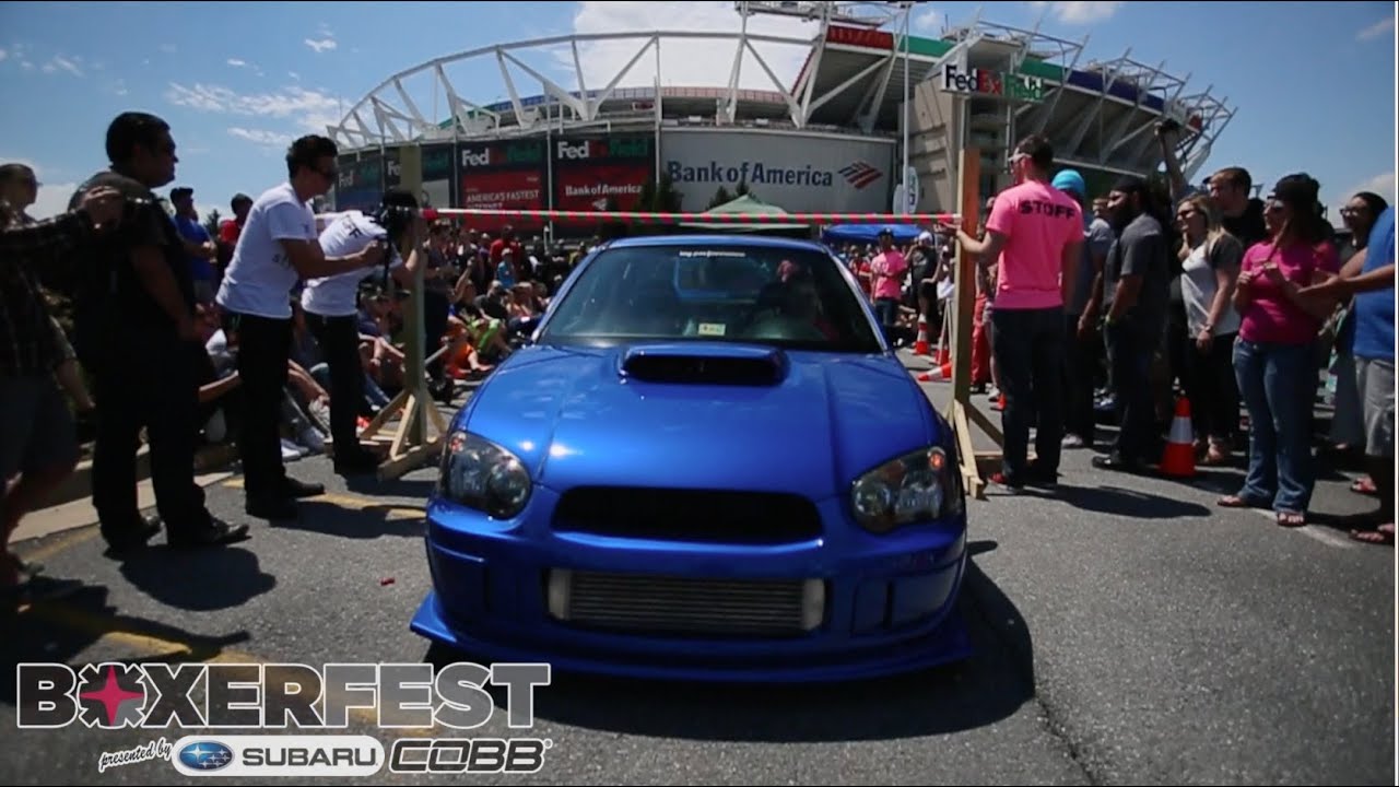 Boxerfest 2014 - OFFICIAL VIDEO