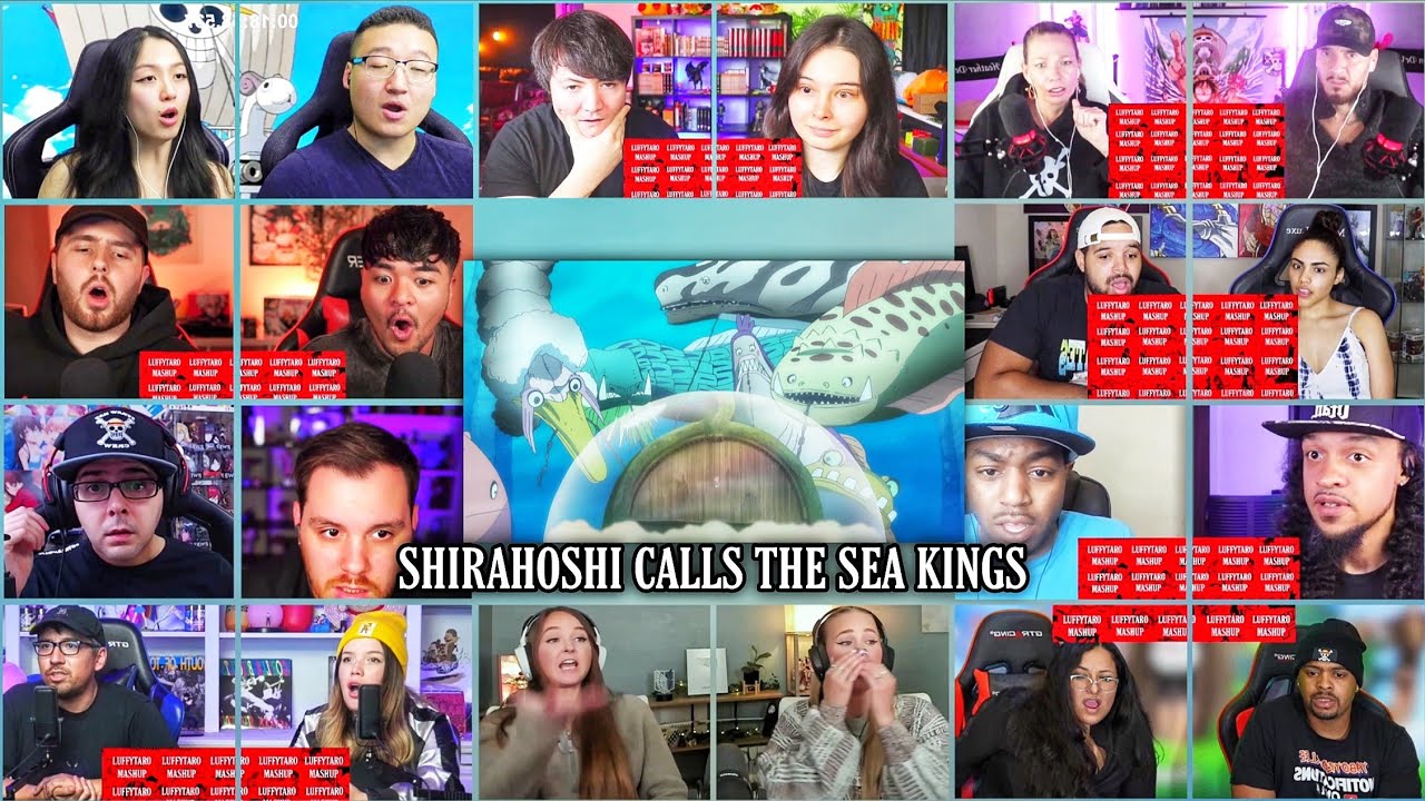 Shirahoshi Calls The Sea Kings Reaction Mashup | One Piece Episode 567