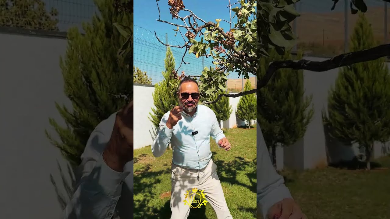 İnanılmaz Keyifli Ve Huzurlu Bir Mülk İle Karşınızdayım!