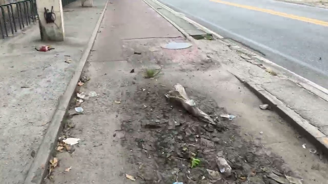 Ida de cosmos de bicicleta até a feira de Santa Cruz Deus abençoe.