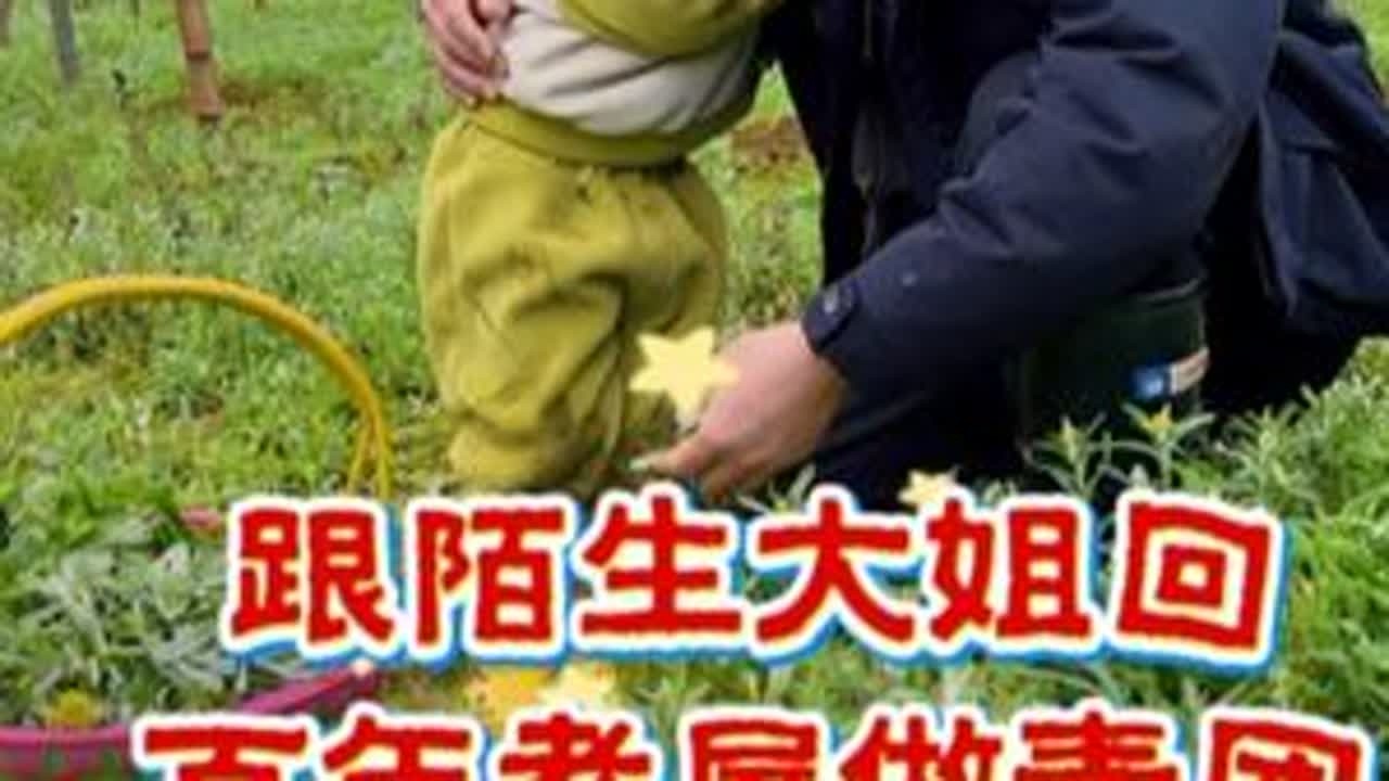 摘鼠曲草跟着陌生大姐回村里的百年老屋做青团！好久没感受到这么浓烈的人情味了#鼠曲草 #青团做法 #春天野菜美食 #阿钢爱桂林 #社牛老公