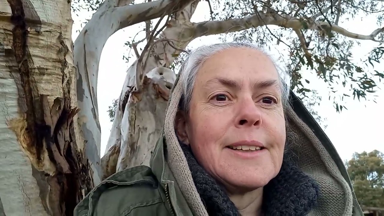 How the Old Self & World Falls - Shifting, Shedding & Allowing 