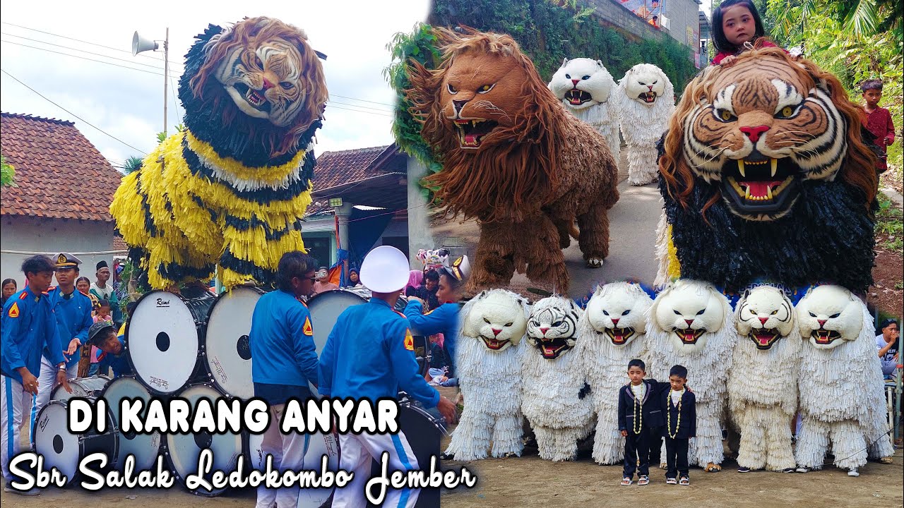 CAN MACANAN DAN DRUMBAND SINGO MANGGALA DI KARANG ANYAR SBR SALAK LEDOKOMBO JEMBER.mp4