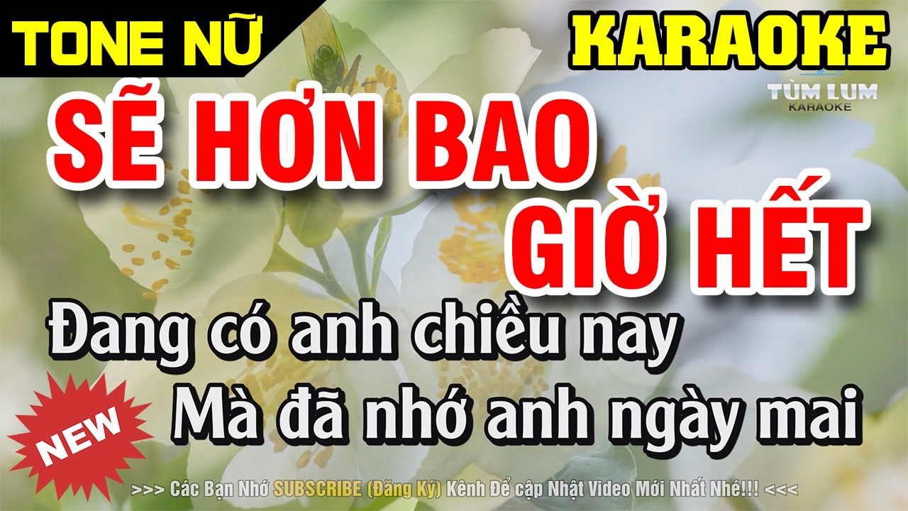 Sẽ Hơn Bao Giờ Hết Karaoke Tone Nữ [ Dm ] Nhạc Sống Cha Cha Cha Cha Dễ Hát | Karaoke Tùm Lum