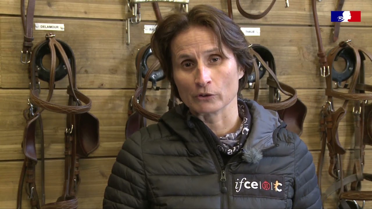 Formation DEJEPS perfectionnement sportif - Haras du Pin