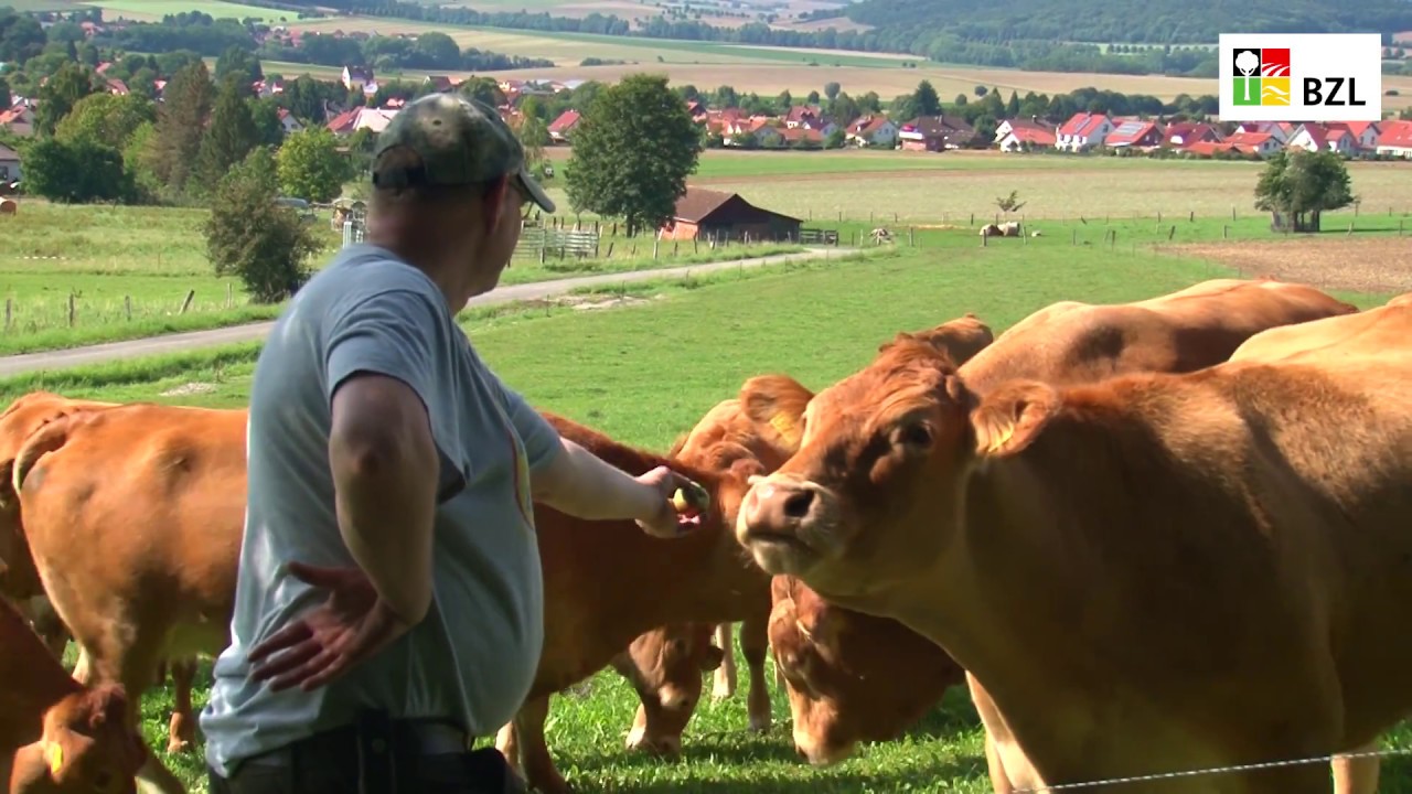 Nachhaltige Landwirtschaft: Vier Bauernh&ouml;fe stellen sich vor