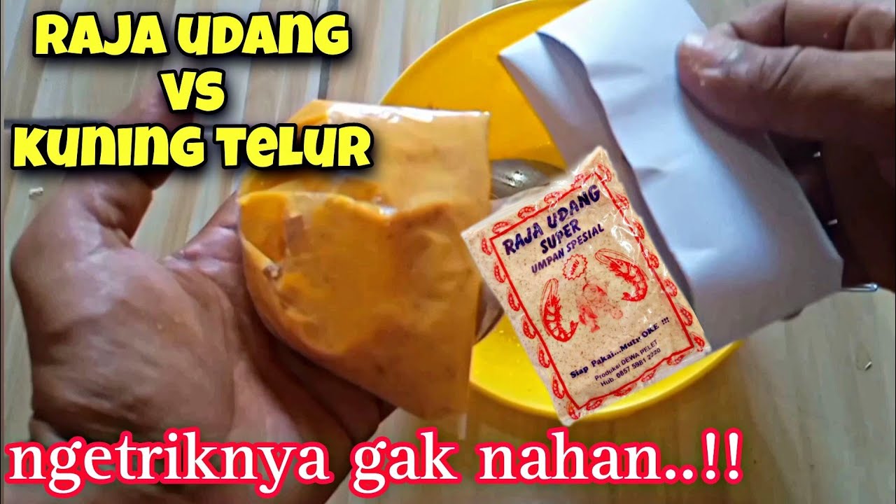Cobain sendiri Ngetriknya umpan raja udang pasti ketagihan!||umpan mancing ikan mas harian dan lomba