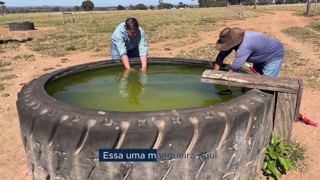 O que precisa para limpar bem os bebedouros para Gado?  Rubber Tank!