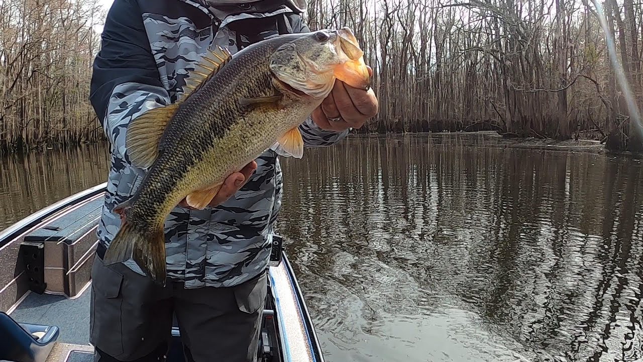 EXPLORING THE BLACK RIVER NC