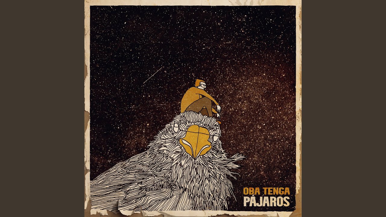 Pájaros