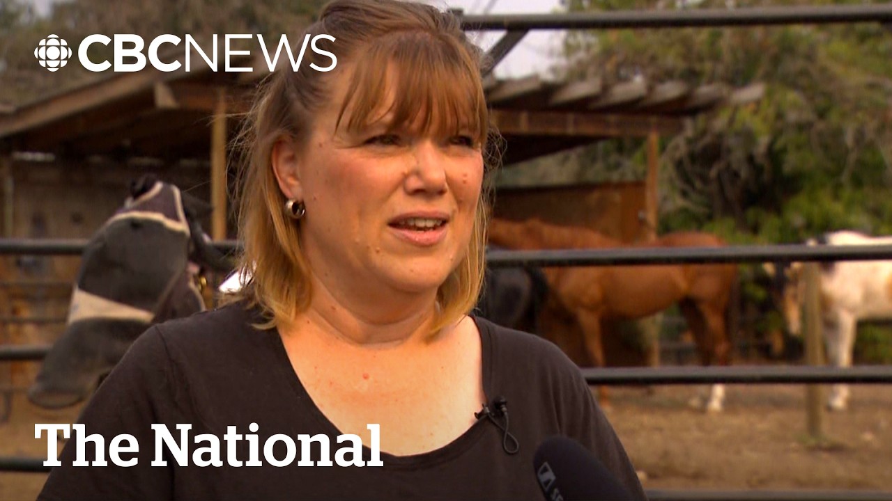 More B.C. wildfire evacuees head home &mdash; some to relief, others to ruin