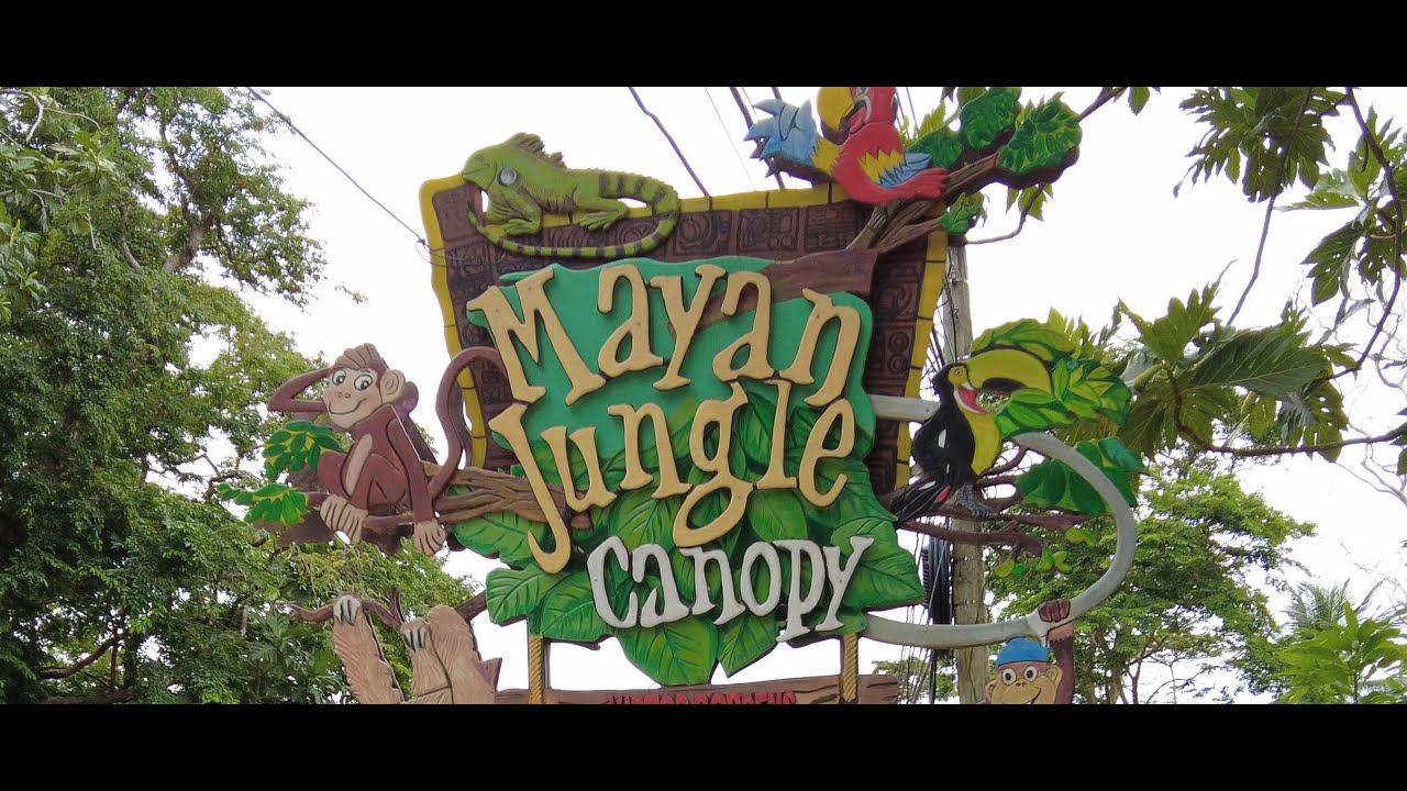 Sloths at Mayan Jungle Canopy!  [Roatan, Honduras]