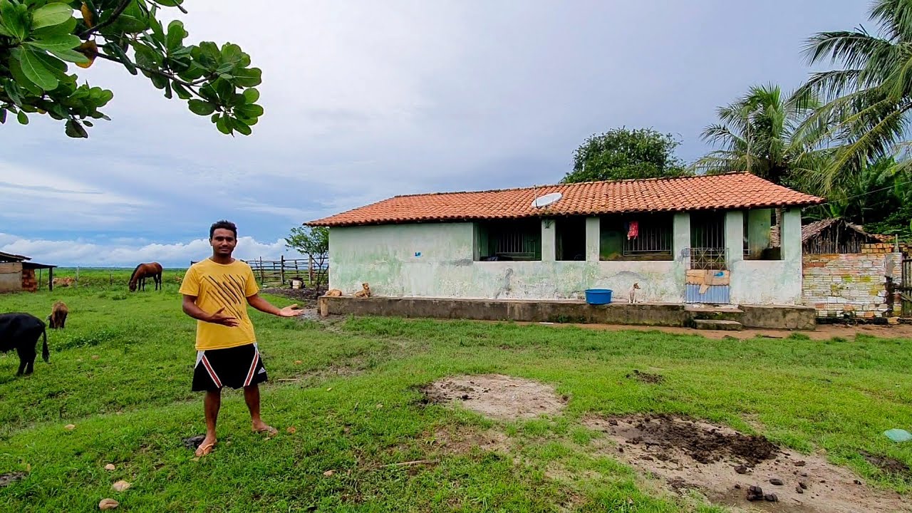 Fui comprar queijo numa ilha em Pontal Bequimão (Maranhão)