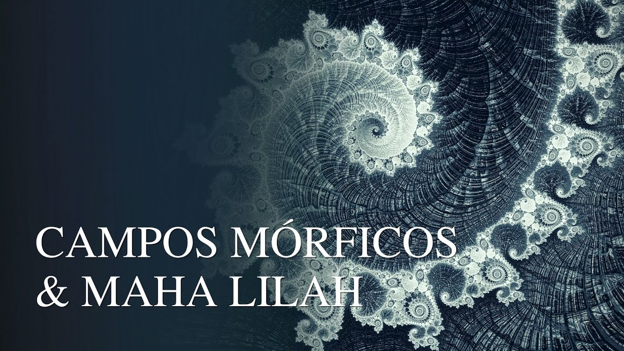 Como os campo morfogen&eacute;ticos nos influenciam - Viver Consciente | Denise Mascarenhas