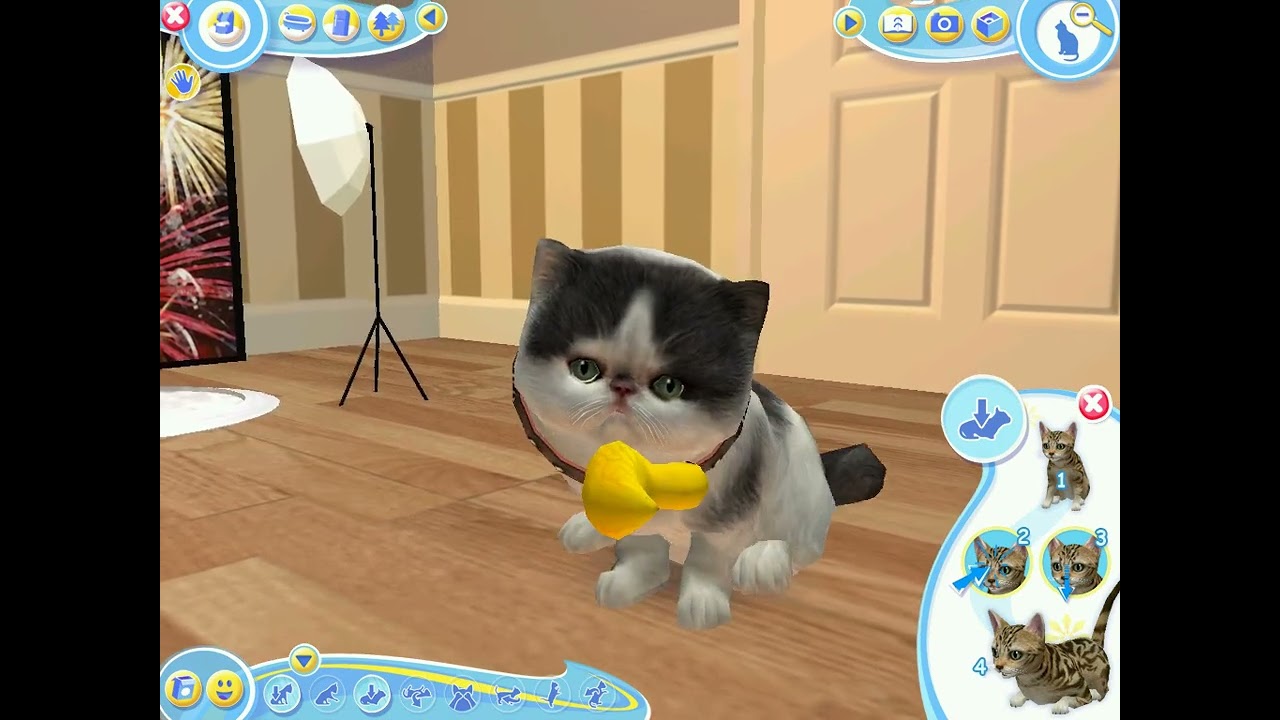 Андрей снова заводит кота|Petz Catz 2 (Одним глазком)