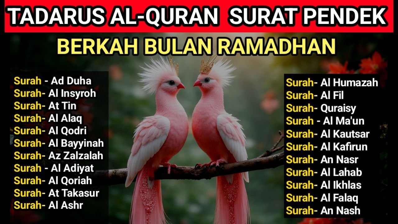 Surat-Surat Pendek Juz Amma | Agar Mudah di Hafal, Bacaan Merdu Untuk Shalat