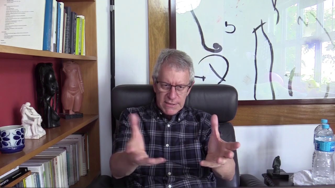 Teorias Psicanalíticas do Desenvolvimento. Projeto de pesquisa para uma análise estrutural