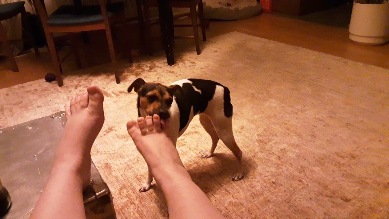Lick dem toes
