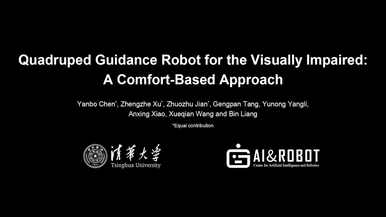 Quadruped Guidance Robot for the Visually Impaired: A Comfort-Based Approach
