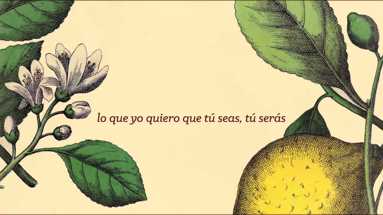 Pedrina y Rio - Ser&aacute;s - Letra (Lyric video)