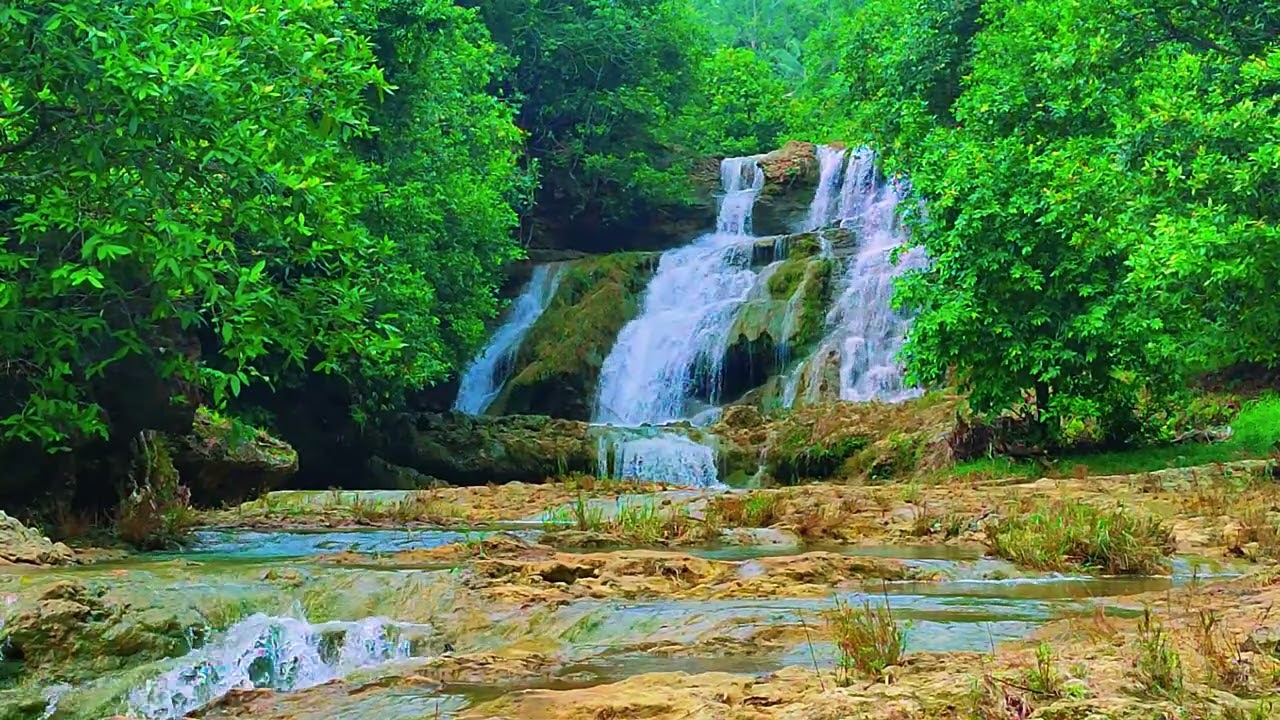 Relaxing Music For Stress Relief, Anxiety and Depressive States🌿 Heal Mind, Sleep Music 18