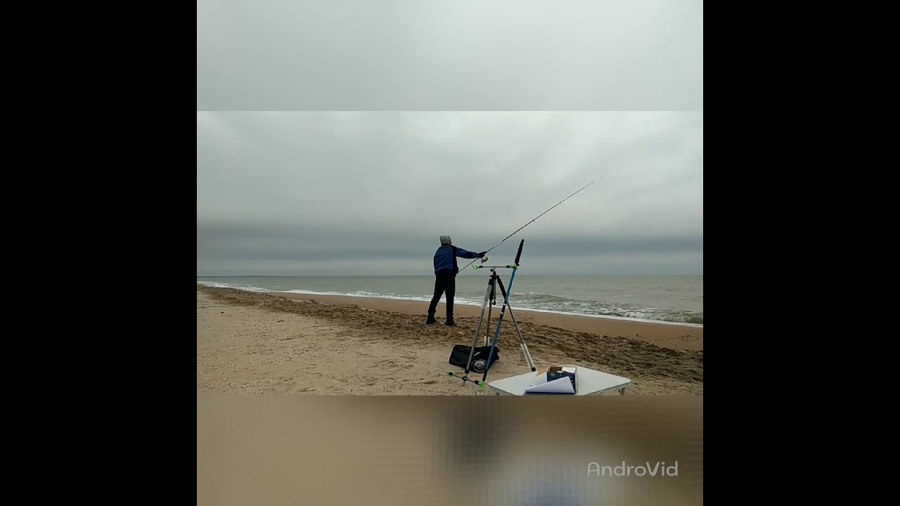 Батл Аливий  Shimano Alivio EX  4.20 170 g VS Shimano Alivio FX 4.2m 170g