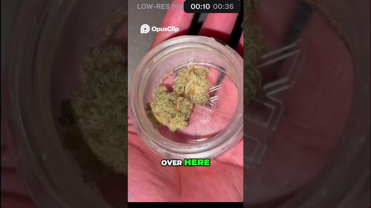 Unboxing Khalifa Kush: Is This the Strongest Strain EVER?!