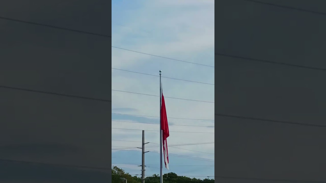 GIANT DIVE FLAG NO WIND