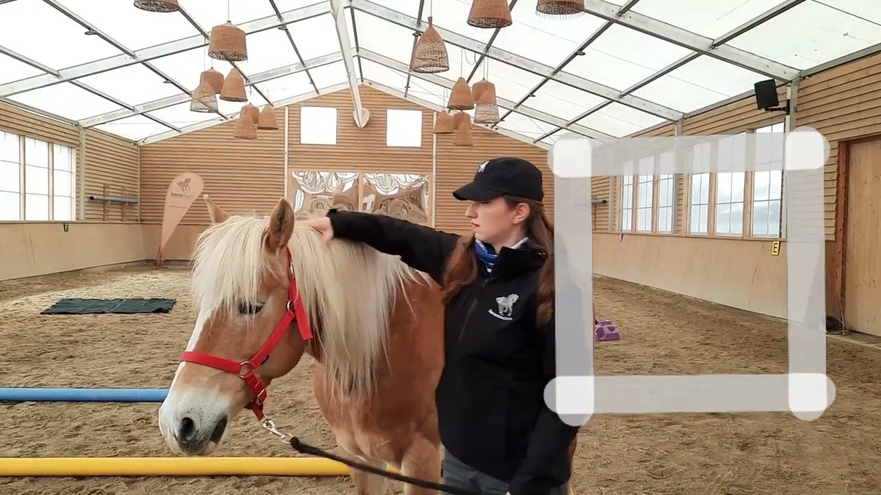 Siguranta HorseTouch Ro