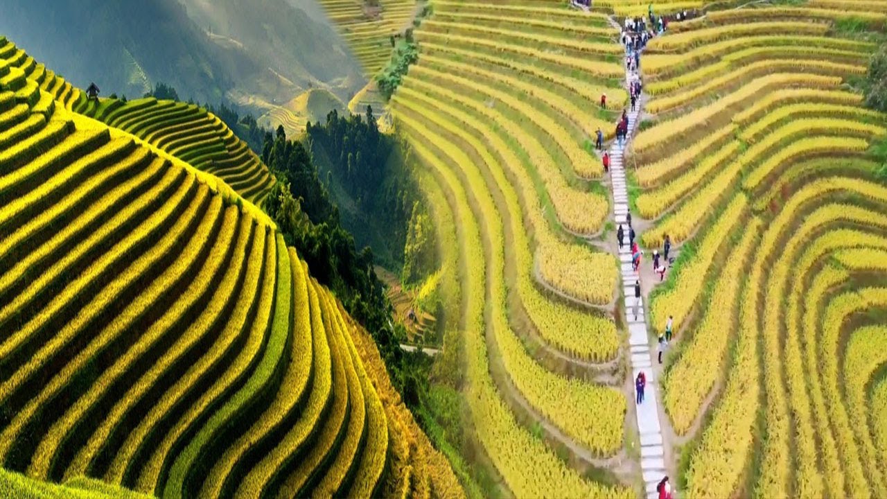 CHINA'S UNBELIEVABLE RICE TERRACES TURNED INTO STUNNING TOURIST ATTRACTIONS