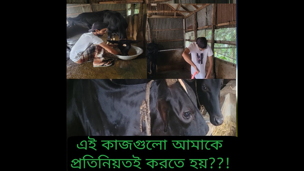 এই কাজগুলো আমাকে প্রতিনিয়ত করতে হয়।।
