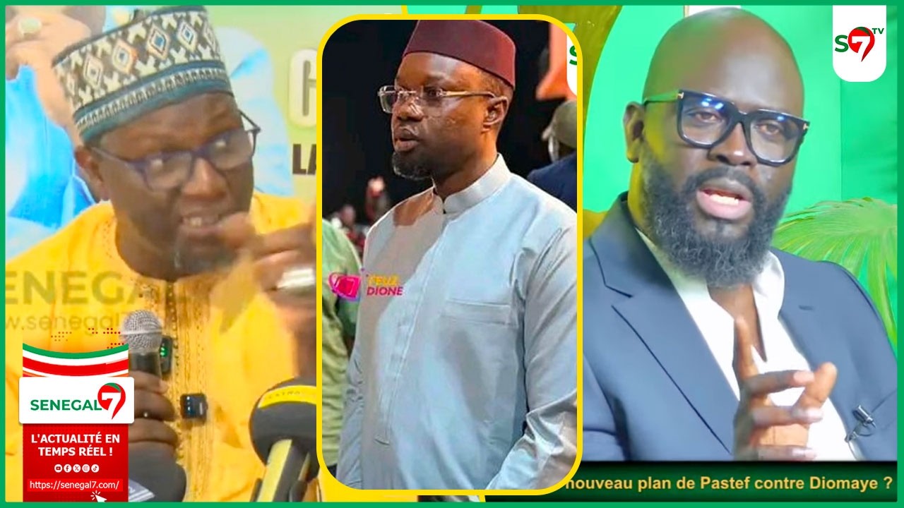 La reponse Dr Babo suite à la sortie de Cheikh O Diagne 