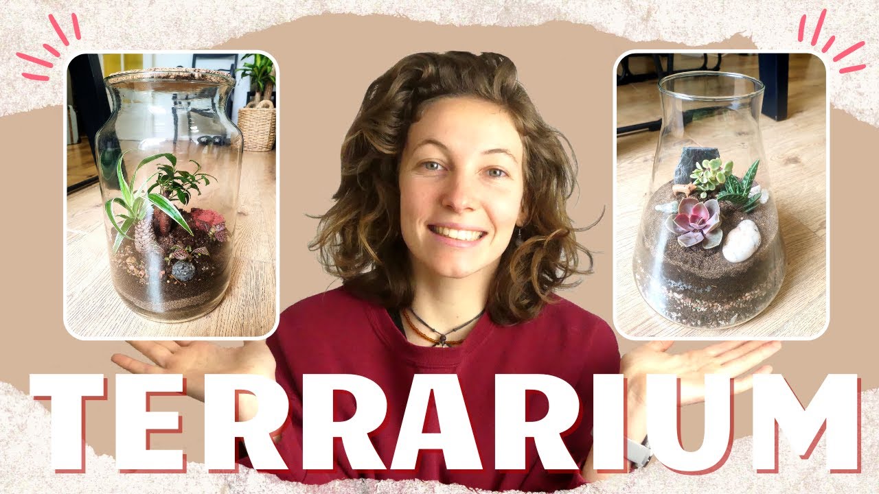 COMMENT FAIRE UN TERRARIUM ? (ouvert et fermé)