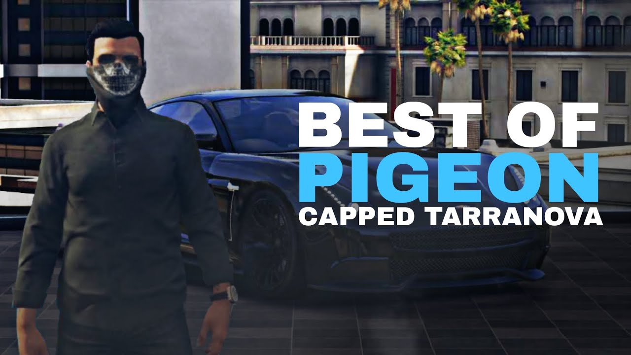 Best Of 'PIGEON' Capped Tarranova | NoPixel 4.0 | GTA RP | CG