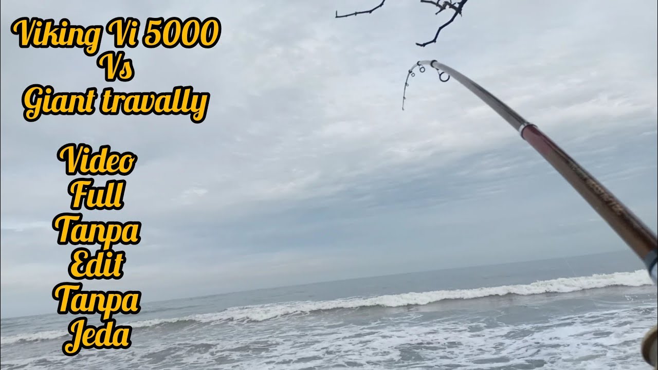 ADU KEKUATAN REEL VIKING VI 5000 VS GIANT TRAVALLY 15 KG