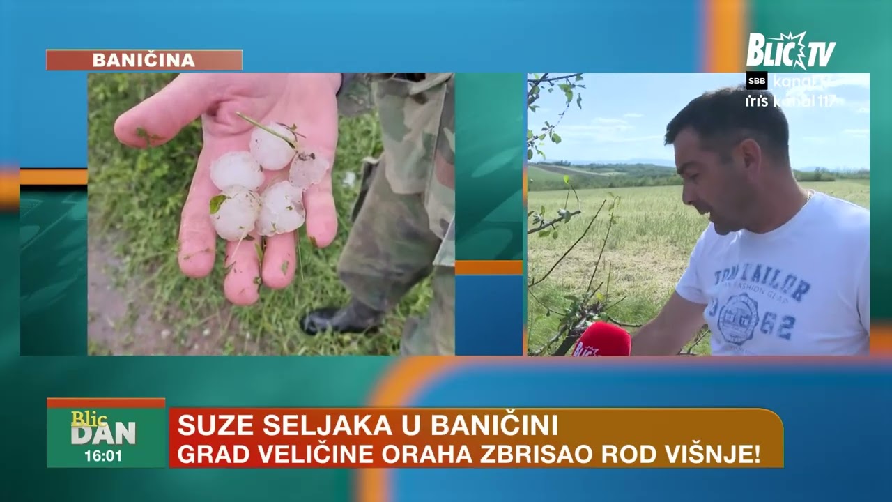 SEZONA POD UPITNIKOM! Grad uništio useve - seljaci očajni: 