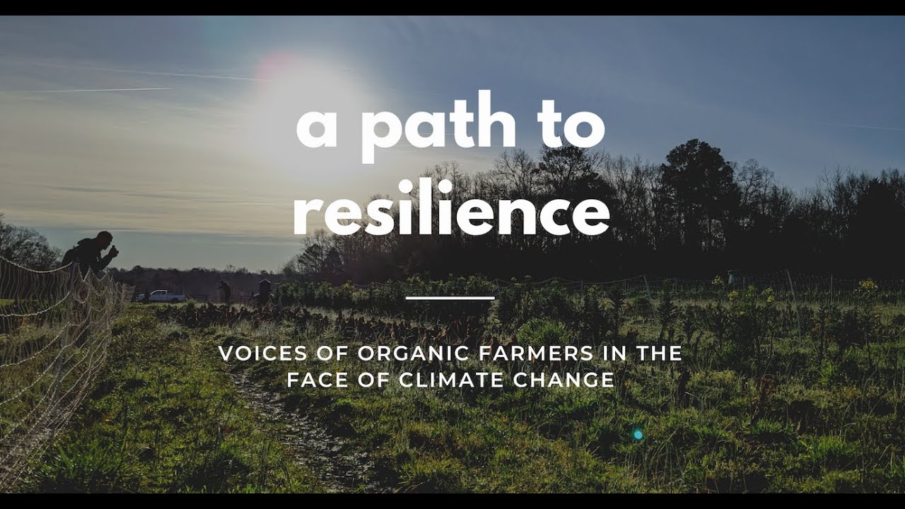 Organic Farmers in the Face of Climate Change