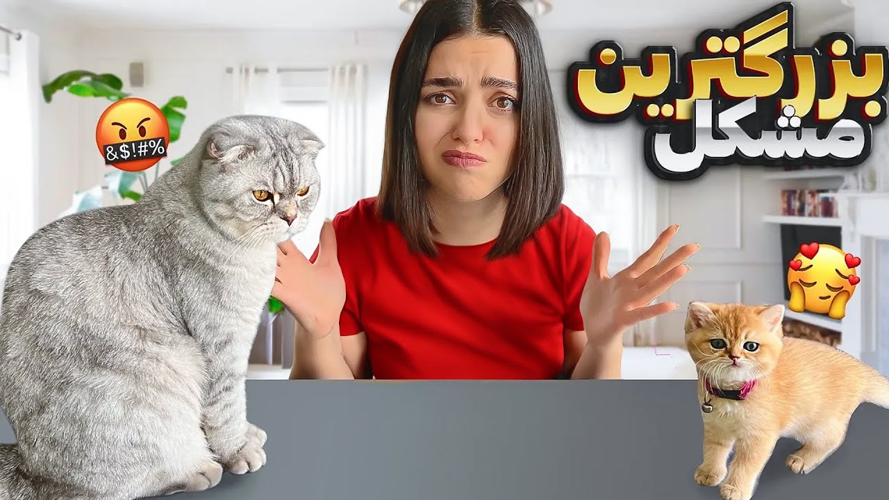 اولین دیدار مایکی با فی‌فی 😂 مایکی میترسه