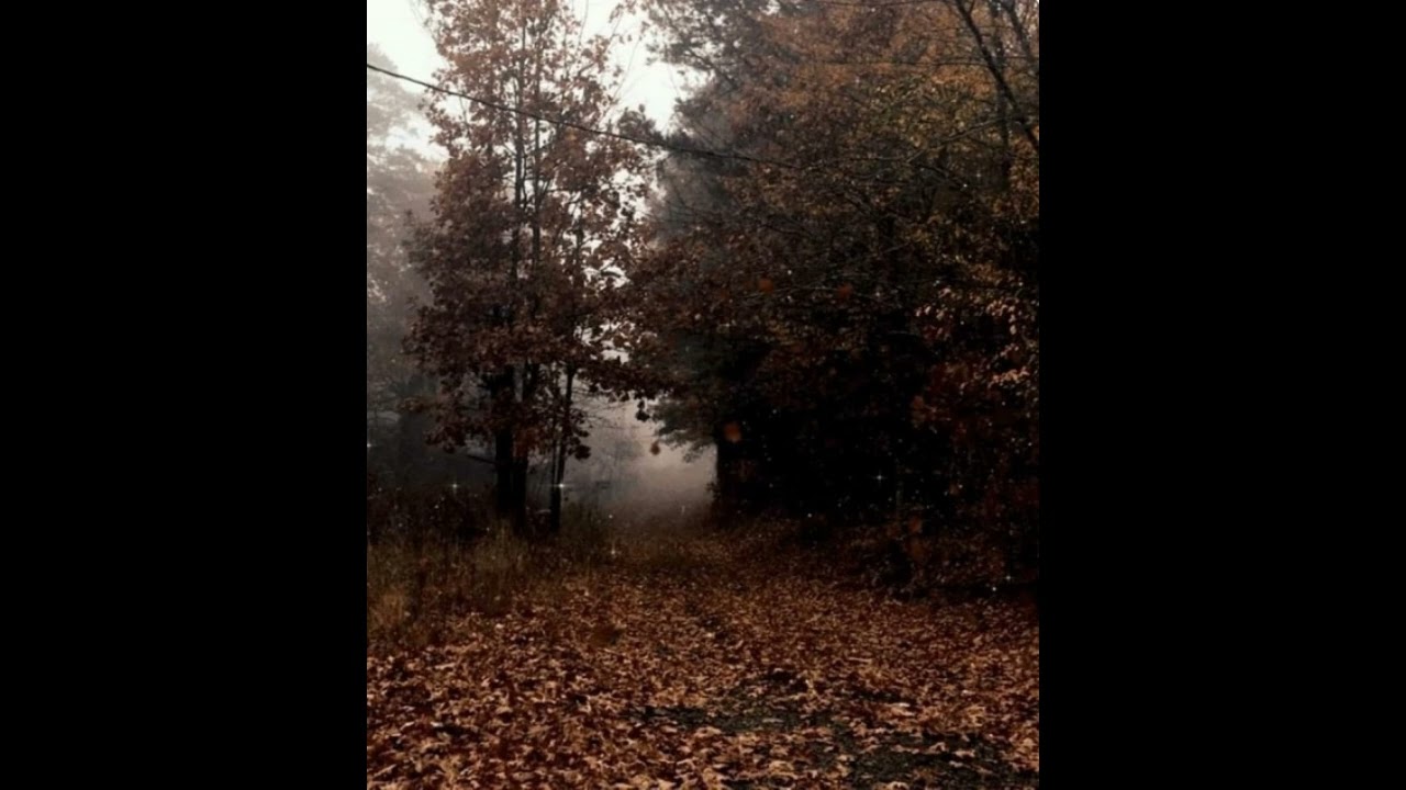 (free) indie folk x honestav type beat 
