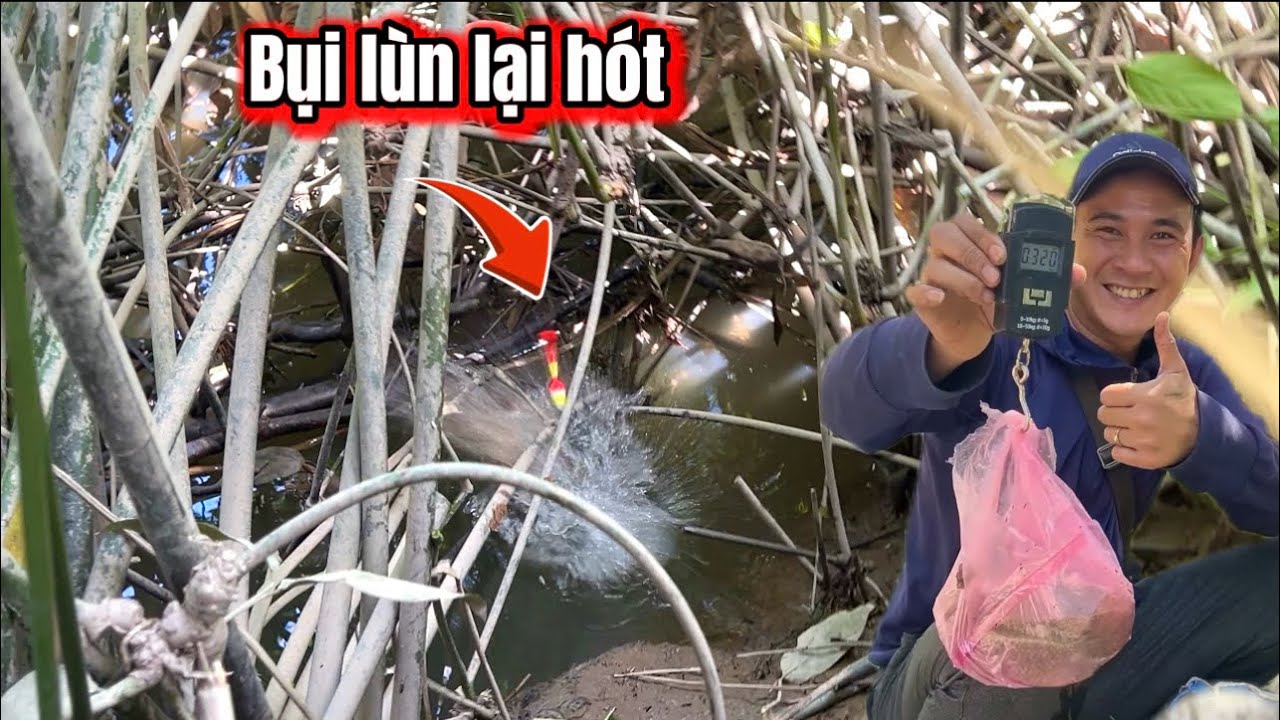 Lâu Lâu Anh Em Tái Hợp Là Phải Săn Cá Rô Khủng-Câu Cá Rô Đồng / lãng tử miền tây T 87