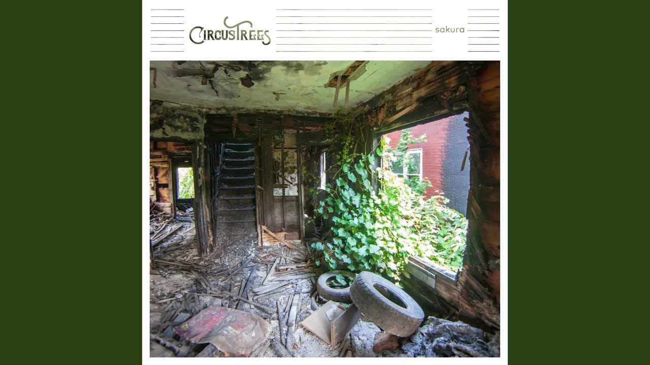 Empty Cabinets