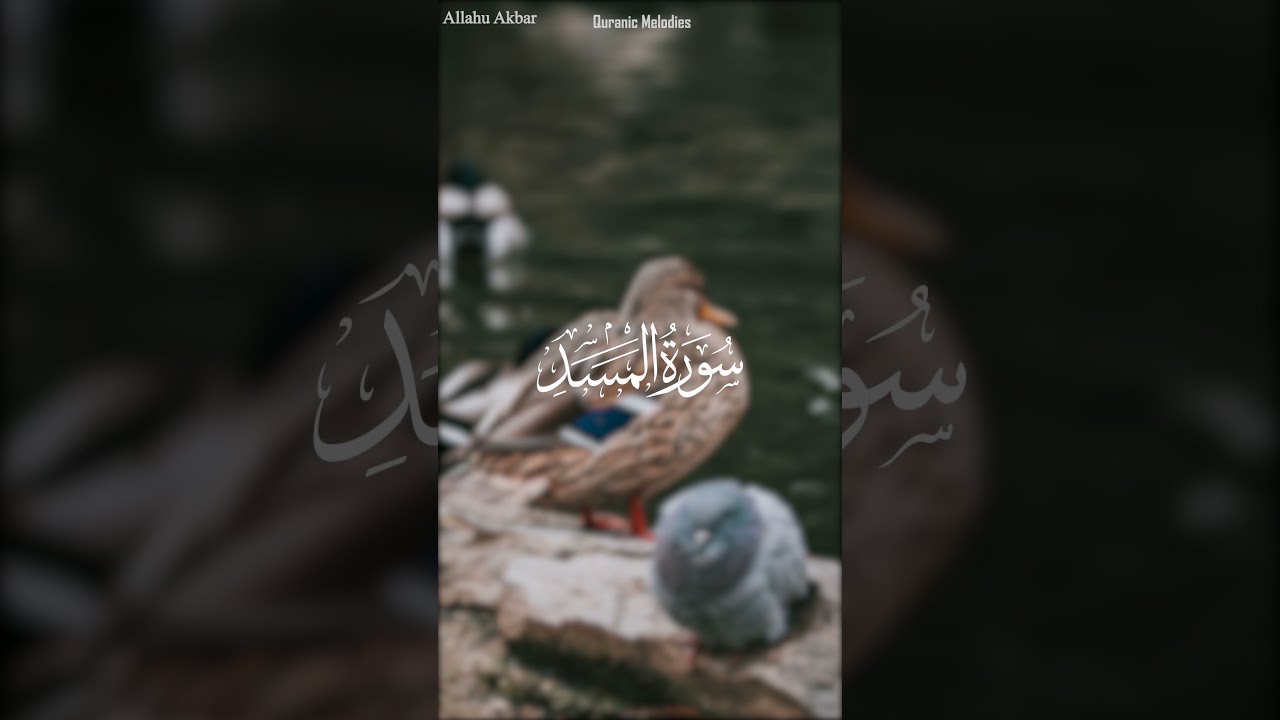 Surah Al Masadd