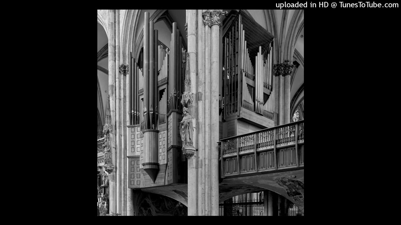 Organ x UK Drill Type Beat 2