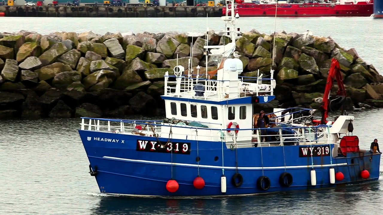 Seafood from Scotland