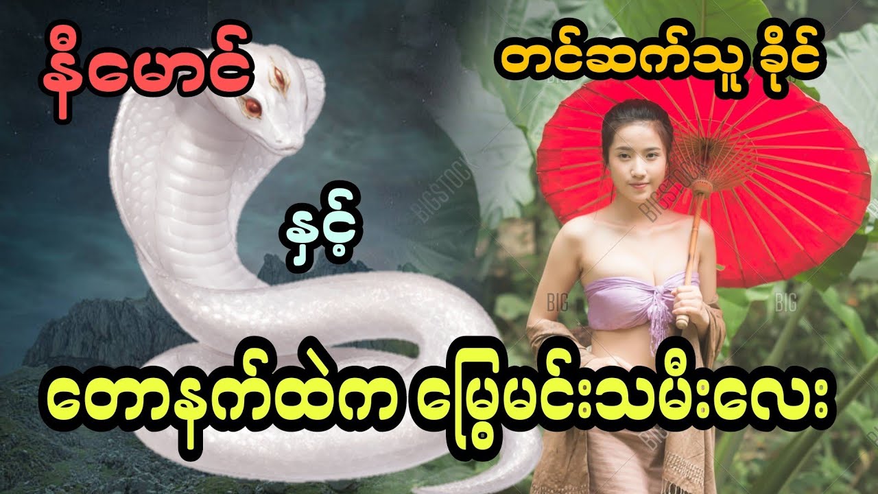 နီမောင် နှင့် တောနက်ထဲက မြွေမင်းသမီးလေး (အစအဆုံး)