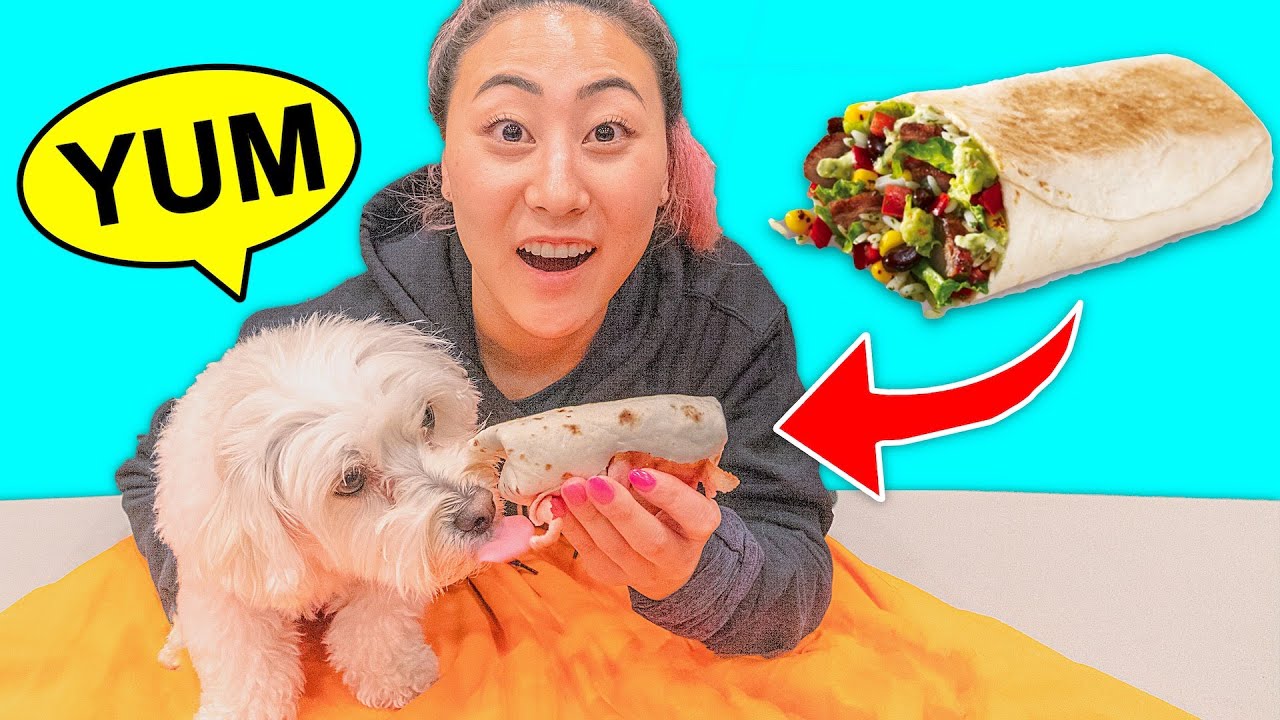 I MADE MY DOG A BURRITO!!