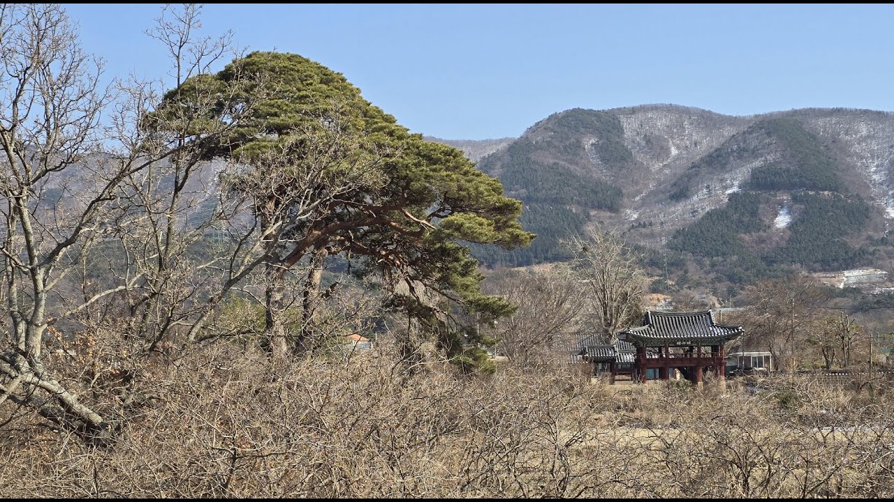 보령 남포읍성과 최고운(최치원) 유적