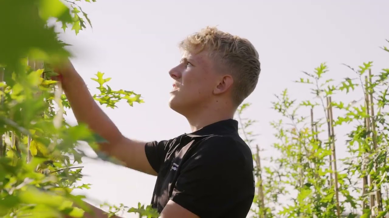 Boomkwekerij Martijn van de Wouw